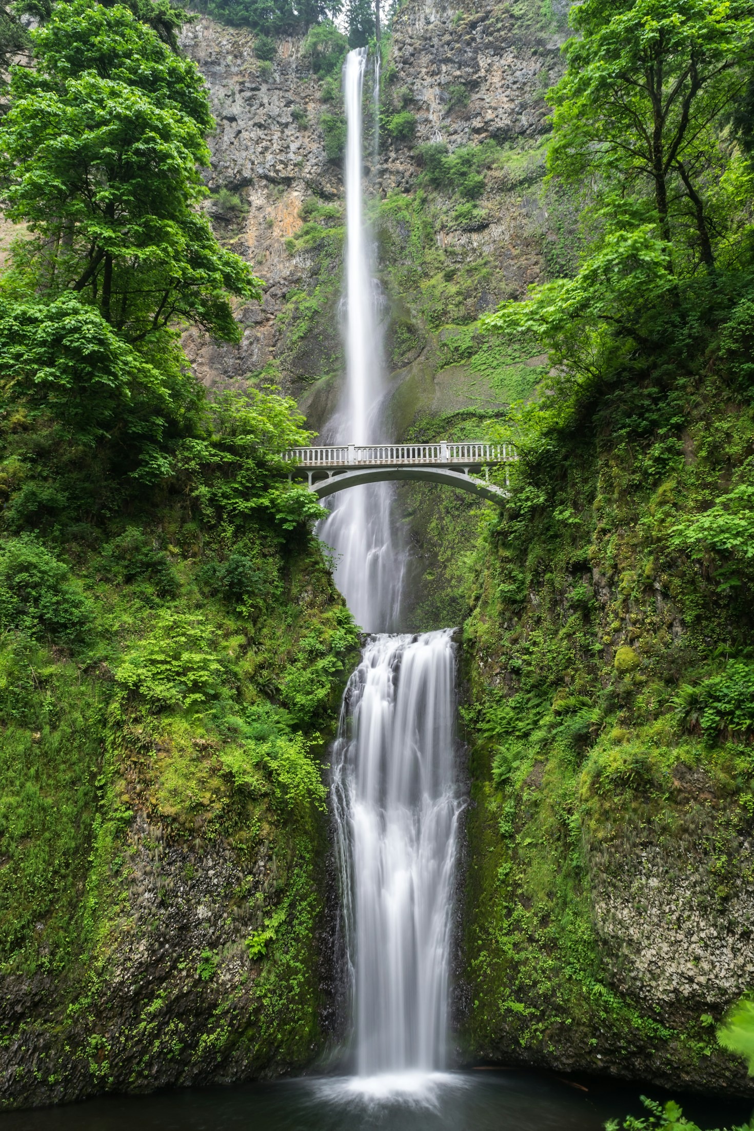 Designing with Nature: Biophilic Principles Explained